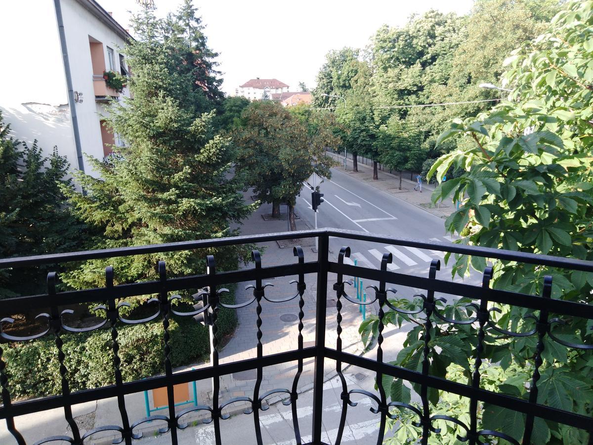 Veliki Park Vila Šabac Exterior foto