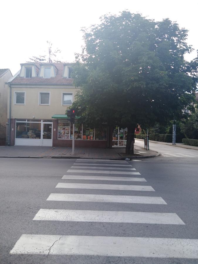 Veliki Park Vila Šabac Exterior foto