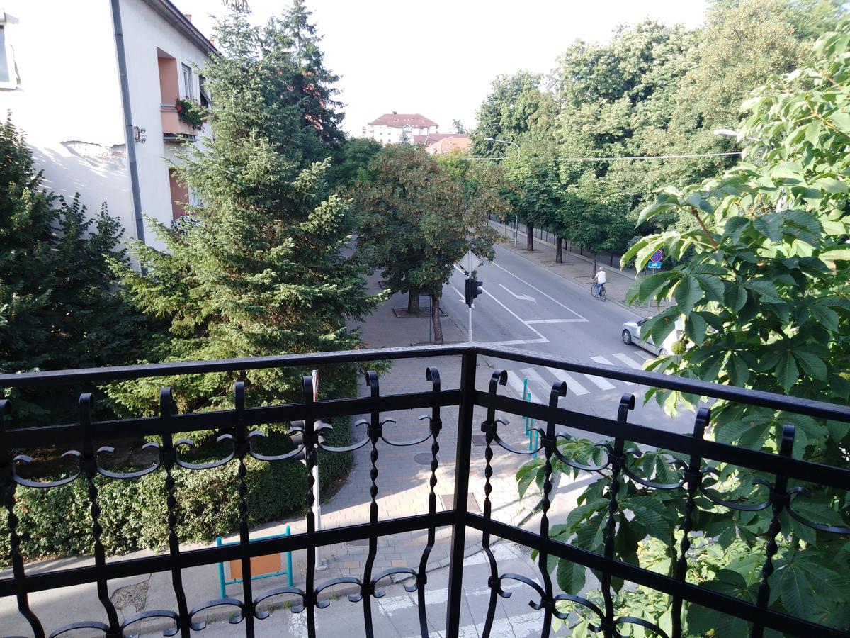 Veliki Park Vila Šabac Exterior foto