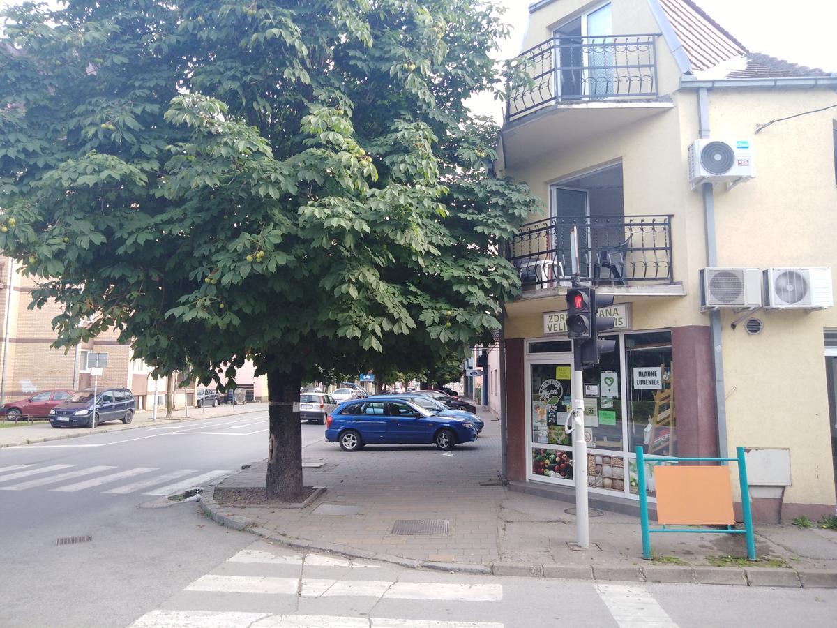 Veliki Park Vila Šabac Exterior foto